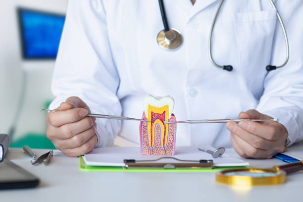 Best Emergency Dental Services Near Me  in New Pek, IN